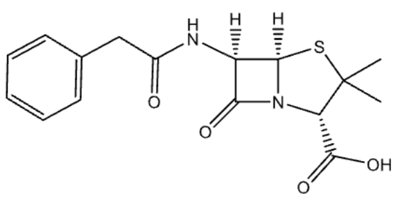 <p>name</p>