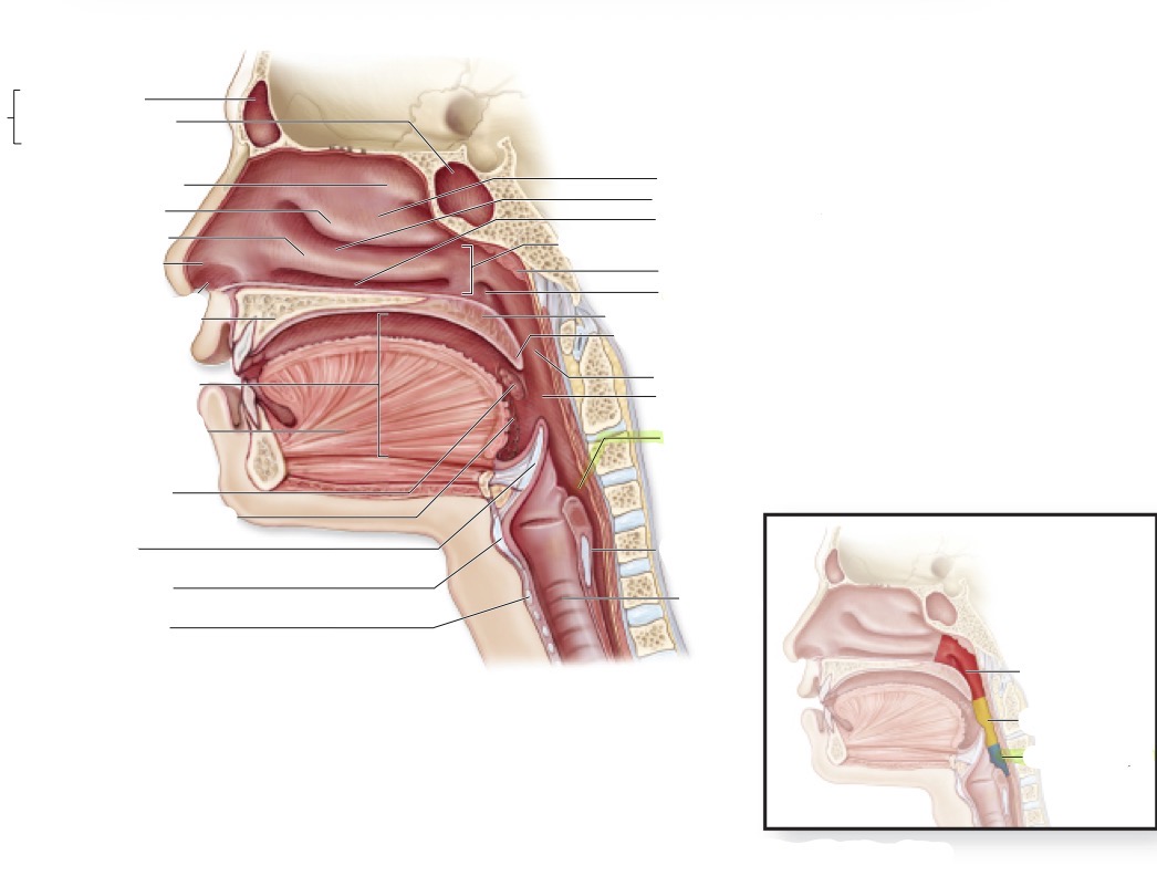 <p>what is this </p>