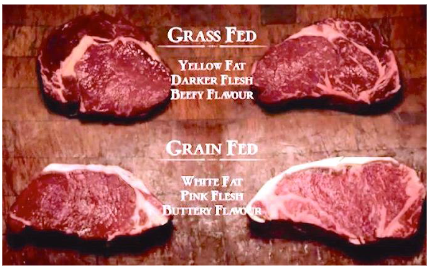 <p>Livestock feeding practices affect human health (e.g E. coli 0157:H7 and cattle feeding)</p>