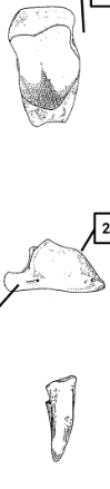 <p>idenify with features </p>