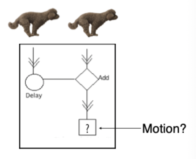 <p> </p><ul><li><p><span>Can trick this system into seeing motion where there is actually none.</span></p></li><li><p><span>Have Reichart detector, can show something in RF of this cell and then this cell over here where there is no actual movement</span></p></li><li><p><span>Have pic of dog in first RF in one point of time, I take it away and I put it over here at another point in time. Notice there is no actual movement but this will trigger my circuit to respond.</span></p></li><li><p><span>Interpret as motion even though there is no motion.</span></p></li><li><p><span>Trick the system.</span></p></li><li><p><span>Work when have moving object but also if have two stationary flashes</span></p></li></ul><p></p>
