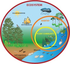 <p>Focus - Energy flow and chemical cycling between organisms and the environment</p><p>Unit - Communities and physical factors they interact with</p><p>Ex: The role of bacteria in the carbon cycle</p>