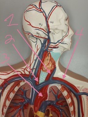 <p>#3</p>