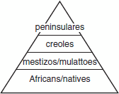 <p>A person born in Latin America to parents who are peninsulares.</p>