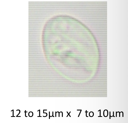 <p>What is this?</p>