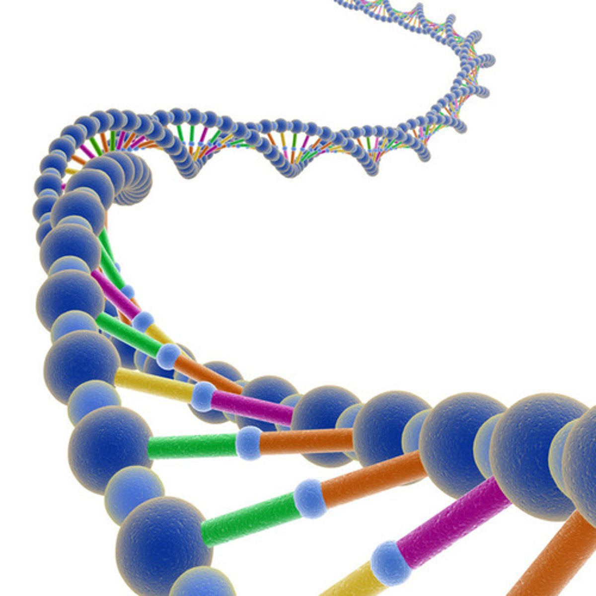 <p>biología</p>