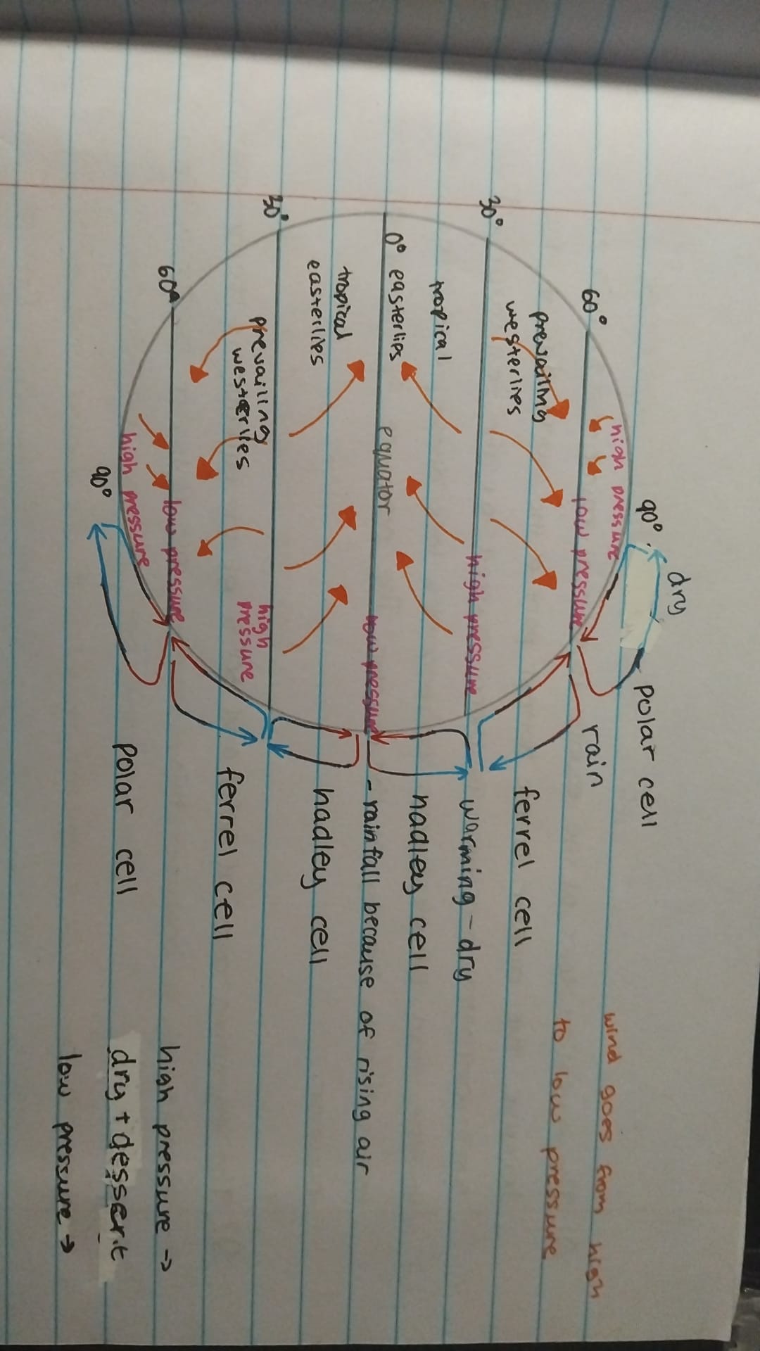 knowt flashcard image