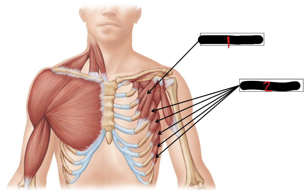 <p>2</p>