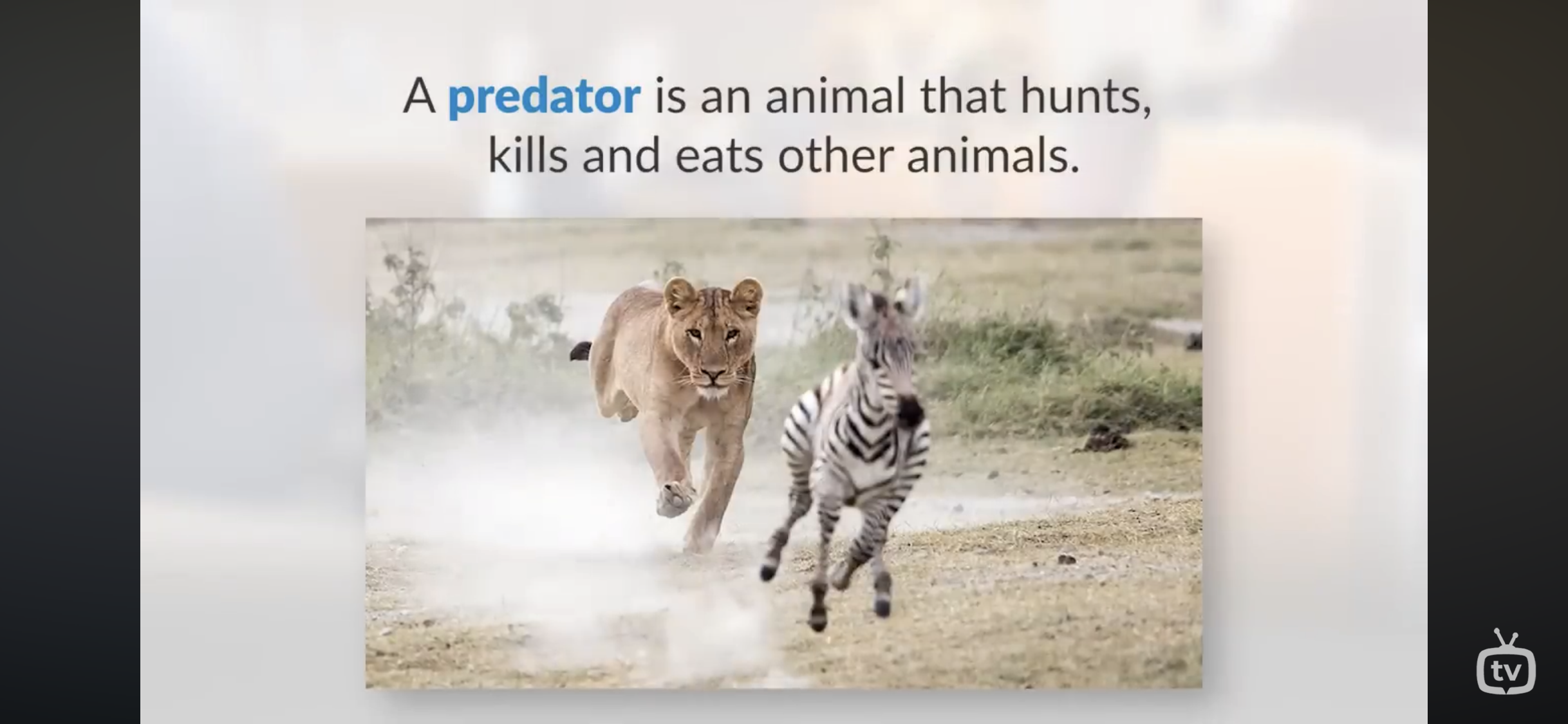 <p>Is an animal that hunts, kills, and eat other animals</p>