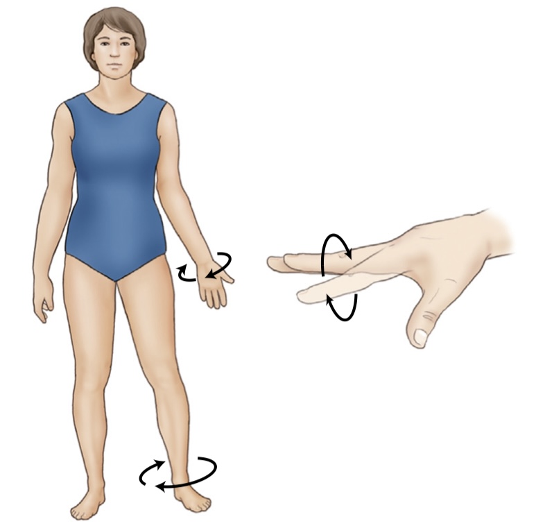 <p>what is the name of the movement where a body part is moved around in a circle?</p>