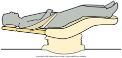 <p>Supine position</p>