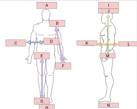<p>What is B</p>