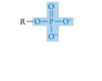<p>Look for a phosphorus atom attached to several oxygen atoms</p>