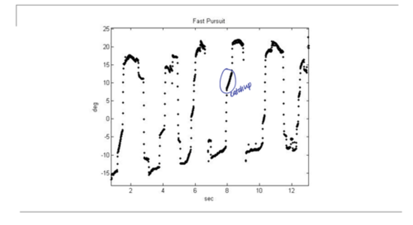 <p>Catch-Up Saccade Diagram (Pic)</p>