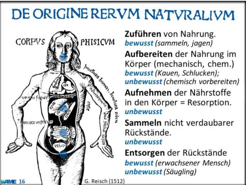 <p><span>Zuführen, Aufbereiten, Aufnehmen, Sammeln, Entsorgen</span></p>