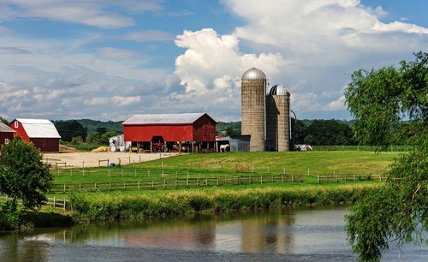 <p>Granja</p>