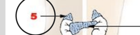 <p>Located on top of each kidney, produces adrenaline and cortisol in response to stress, and noradrenaline for the flight or flight response</p>