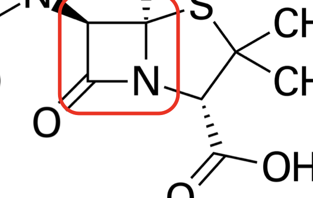 <p>manipulations of side chains alter spectrum, susceptibility, and pharmacokinetic properties</p><p>rapidly bactericidal, nontoxic, bioavailable, resistant to degradation, high affinity for PBPs</p><p>time dependent activity</p>