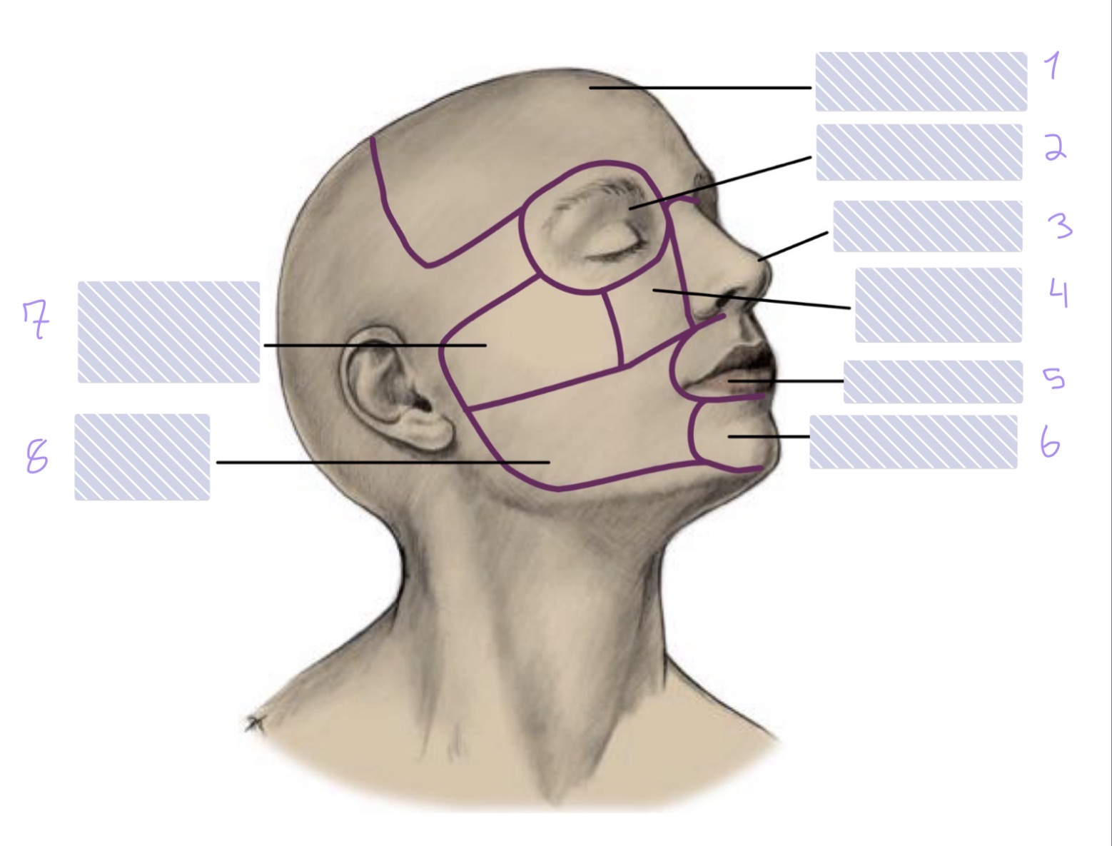 <p>1</p>