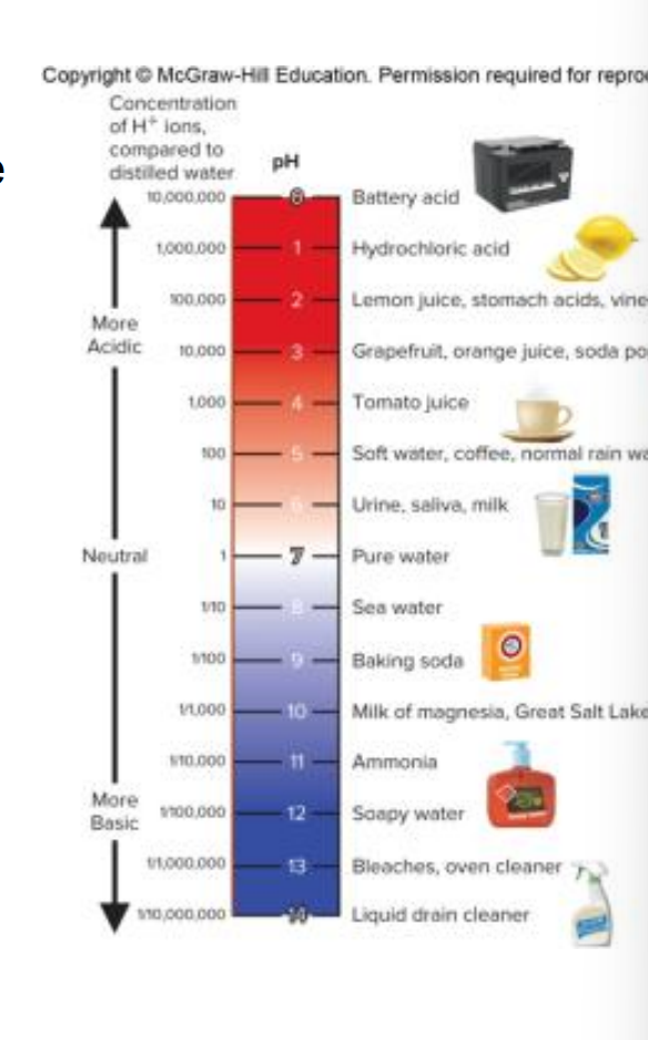 <p>Strength of the hydrogen ions</p><ul><li><p>The lower the pH the more acidic it is a substance. </p></li><li><p>Less than 7 = acidic </p></li><li><p>More than 7 = alkaline</p></li></ul><p></p>