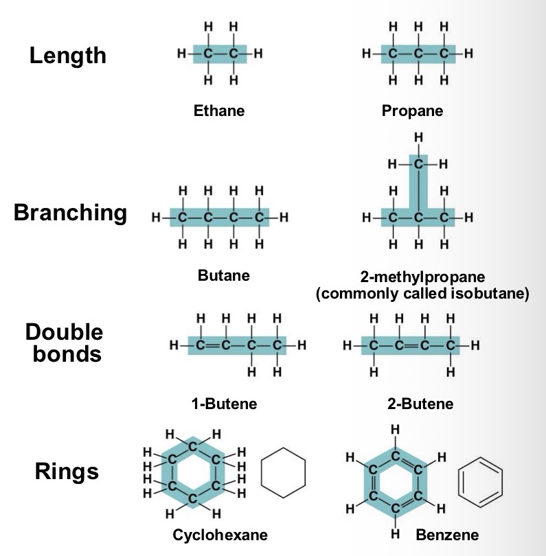 <p>All the molecules shown are what? And how present are they?</p>