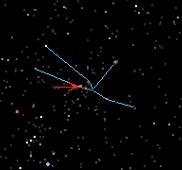 term image