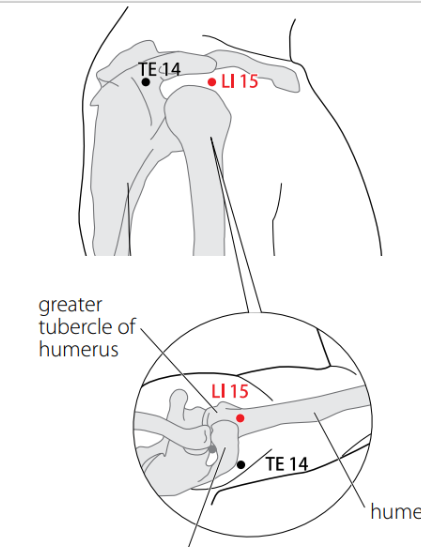 <p></p>