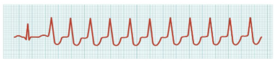 <p>What is this?</p>