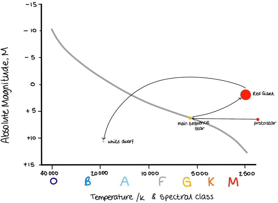 <p>when main seq star uses up all hydrogen in core → red giant which is brighter and cooler</p><p>when red giant uses up all helium in core → ejects outer layers and becomes white dwarf which is hotter and dimmer</p>