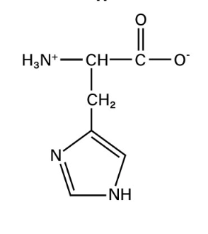 <p>basic</p>