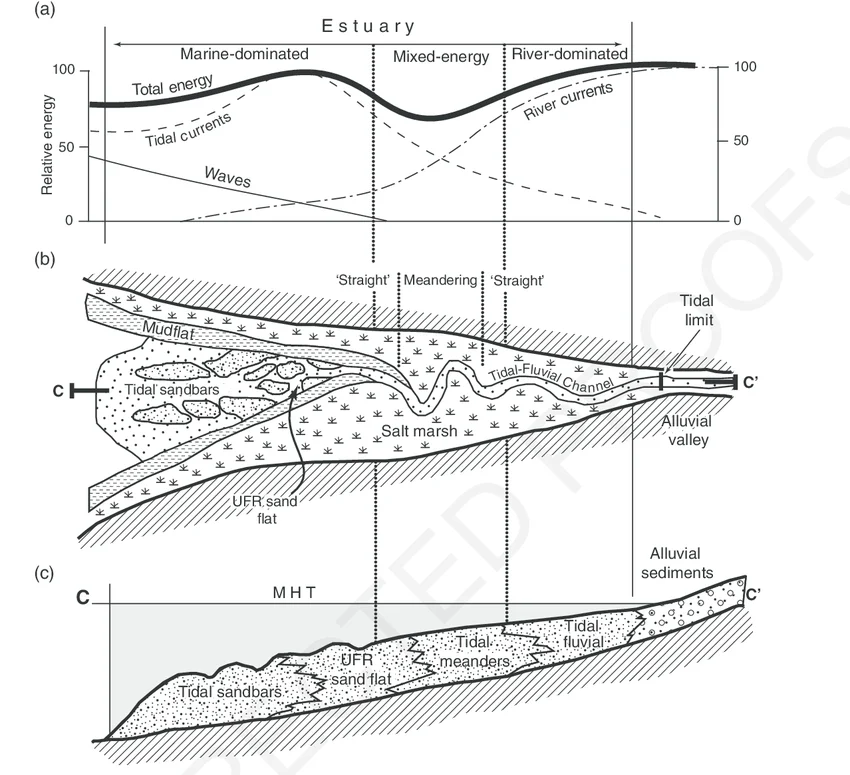 <p>Mostly macrotidal; sediment is finest close to shore. Flood tide inundates coastal mud flats. Sand bodies occur in elongate, submarine channels at the mouth rather than long, horizontal bars. Bayhead delta is <strong>not</strong> present at estuary head</p><p>May be marked by mud drapes, herringbone cross-strat (rare), and reactivation surfaces. Areas of strongest current are marked by upper plane bed flow</p>