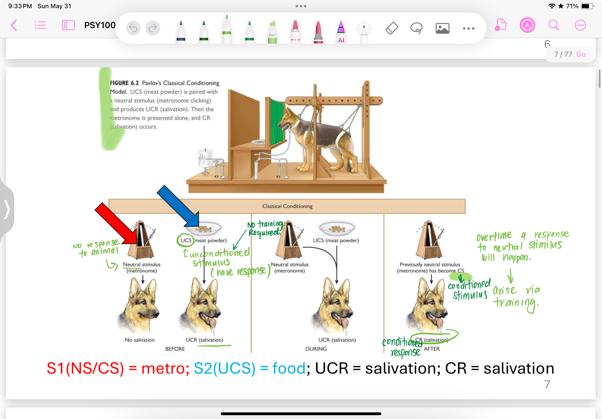 <p>let dog associated NS sound with UCS (food) and this will cause it to salivate. overtime a response to neutral stimuli will occur and NS will become CS to cause CR</p>