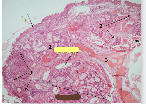 <p>Identify 3 </p>