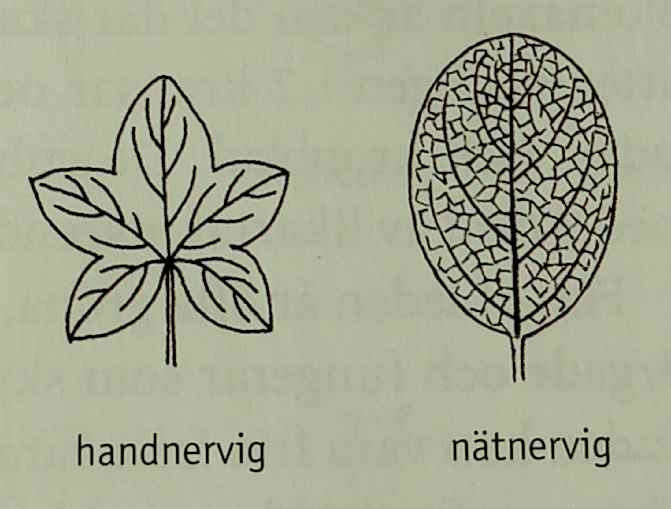 <p></p>