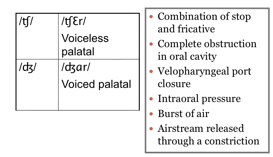 <p>Sequences of stop plus fricative. The english sounds <span>/tʃ dʒ/ are postalveolar affricates. These are the sounds in church and judge. Closure → frication </span></p><ul><li><p><strong>ch → tʃ </strong></p></li><li><p><strong>j → dʒ</strong></p></li></ul><p></p>