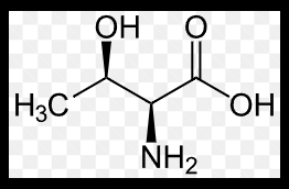 <p>name this amino acid</p>