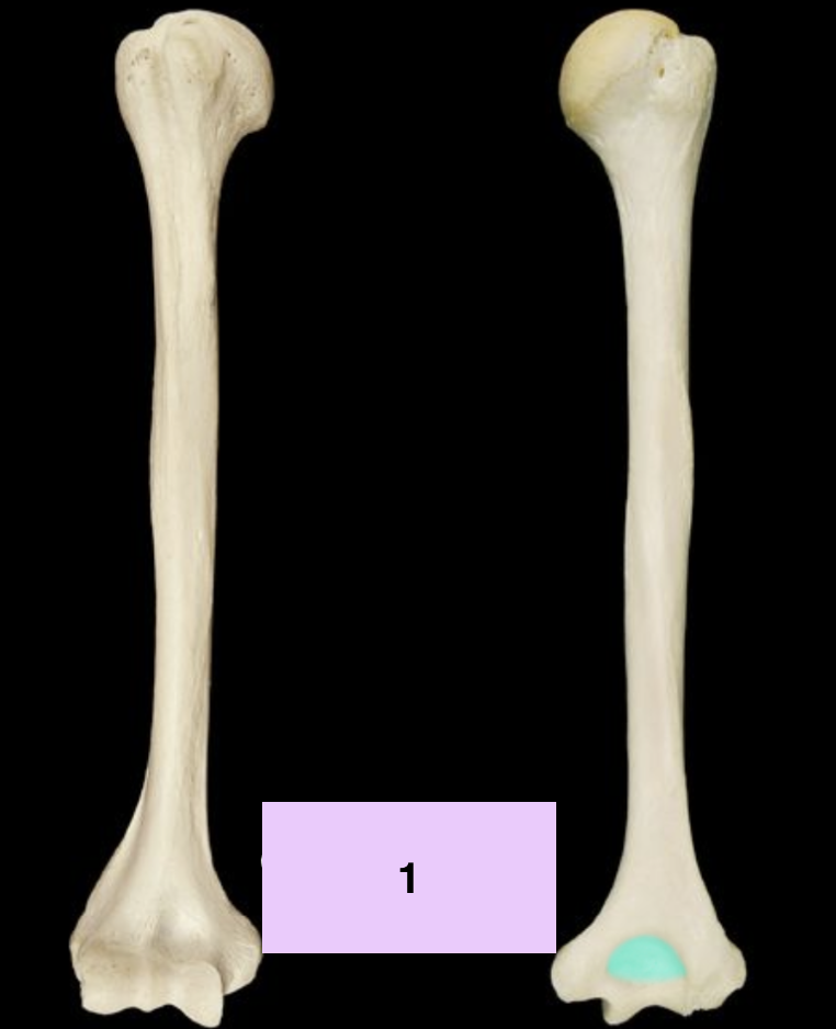 <p>What is one?</p>