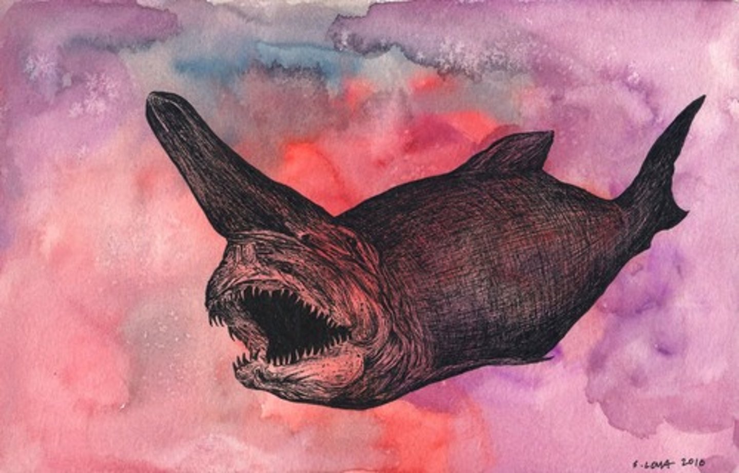 <p>The Goblin shark does what near the sea floor &amp; far above it?</p>