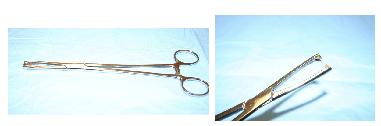 <p>Double Tooth Tenaculum</p>