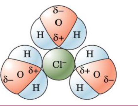 <p>Water has a partial charge due to its dipole. You can observe that it bonds based on the charge of the mlcl its bonding to</p><p></p>
