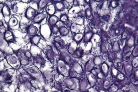 <p>what is this </p>