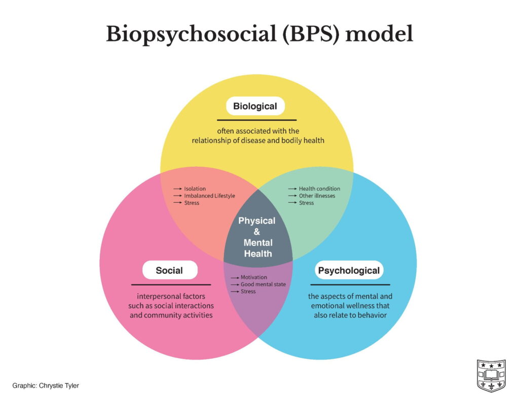 <p>biopsychosocial model</p>
