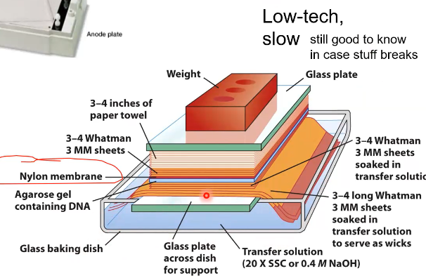 <p>What is the goal of this large contraption</p>