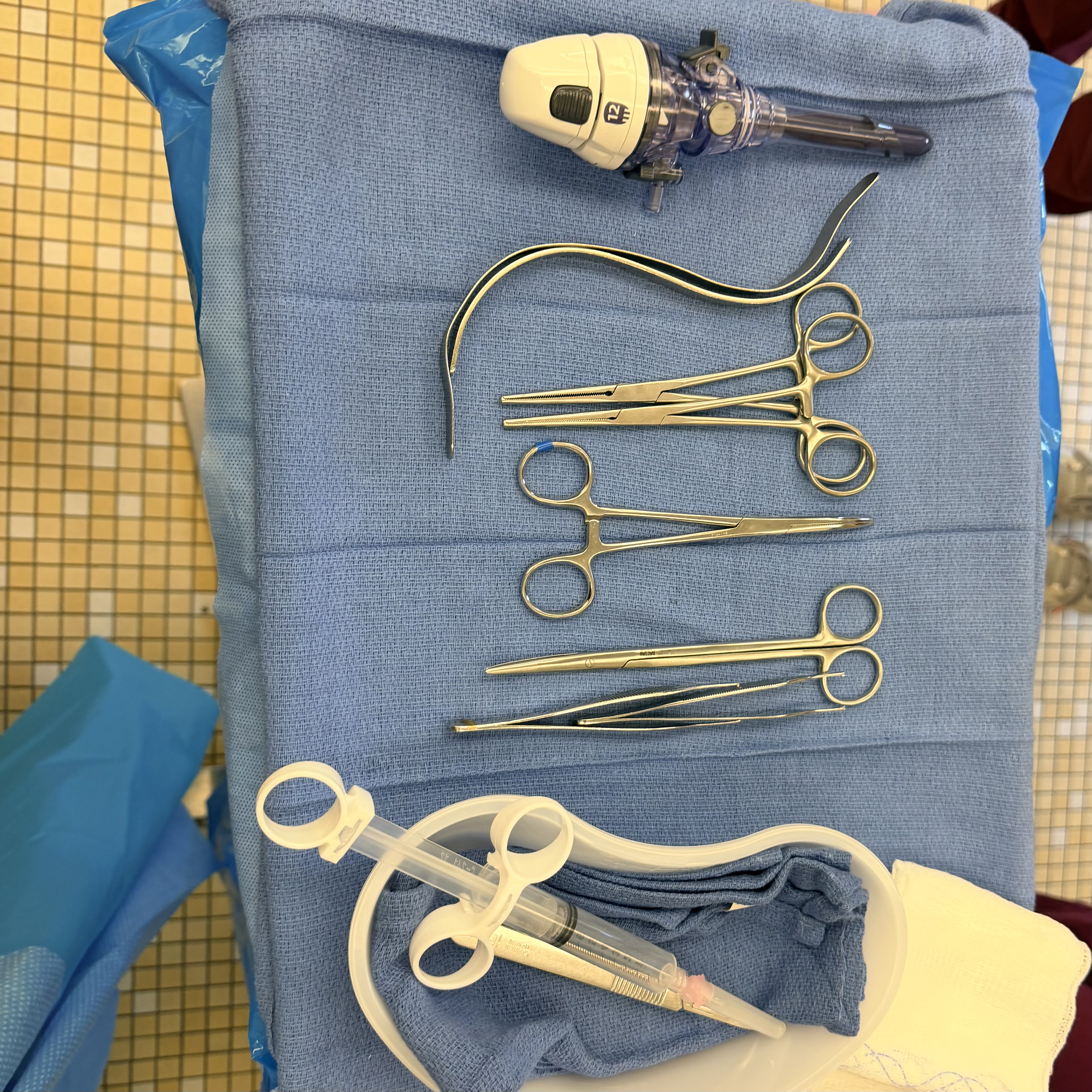 <p>3 Trocars, 1 hassan and 2 regular</p><p>2 S Retractors</p><p>2 Kochers, 1-2 Kelly, 1-2 metzenbaum Scissors</p><p>2 toothed adsons</p><p>Local &amp; loaded knife handle</p>