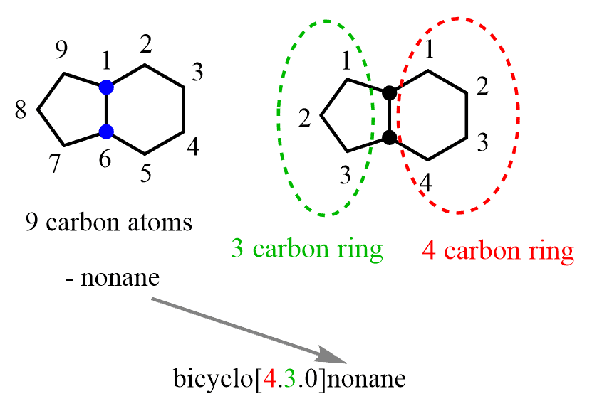 <p><strong>☆ how are simple bicyclic compounds named?</strong></p>