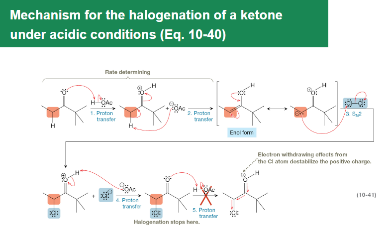 <p>Enols formed under acidic conditions react with halogens to selectively substitute one α-hydrogen adjacent to carbonyls without altering the carbon skeleton.</p>