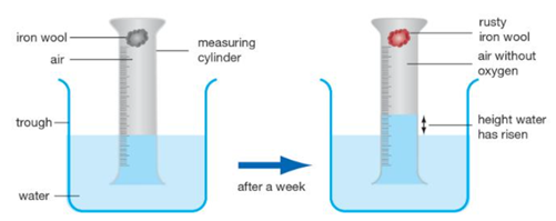 <p>As the damp iron wool reacts with oxygen from the air, the iron rusts, the oxygen is removed and the water rises up the measuring cylinder to replace the 'lost' oxygen.</p><p>Example results:</p><table style="min-width: 50px;"><colgroup><col style="min-width: 25px;"><col style="min-width: 25px;"></colgroup><tbody><tr><td colspan="1" rowspan="1" style="border-style: solid; vertical-align: top; width: 1.3381in; padding: 4pt;"><p>Volume of air</p></td><td colspan="1" rowspan="1" style="border-style: solid; vertical-align: top; width: 0.5548in; padding: 4pt;"><p>cm<span><sup>3</sup></span></p></td></tr><tr><td colspan="1" rowspan="1" style="border-style: solid; vertical-align: top; width: 1.3381in; padding: 4pt;"><p>Start</p></td><td colspan="1" rowspan="1" style="border-style: solid; vertical-align: top; width: 0.5548in; padding: 4pt;"><p>94</p></td></tr><tr><td colspan="1" rowspan="1" style="border-style: solid; vertical-align: top; width: 1.3569in; padding: 4pt;"><p>After a few days</p></td><td colspan="1" rowspan="1" style="border-style: solid; vertical-align: top; width: 0.5354in; padding: 4pt;"><p>73.5</p></td></tr></tbody></table><p>Volume of air removed = 94 - 73.5 = 20.5 cm<span><sup>3</sup></span></p><p>Percentage of oxygen = (20.5/94) x 100 = 21.8 %</p>