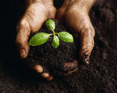 <p>good for growing things</p>