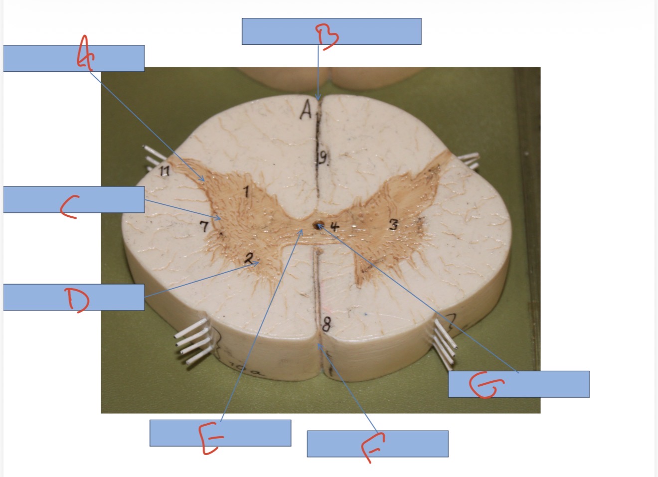 <p>What is C?</p>