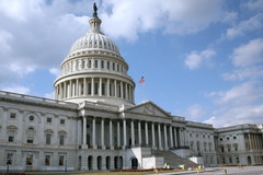 <p>Branch of government that makes the laws</p>